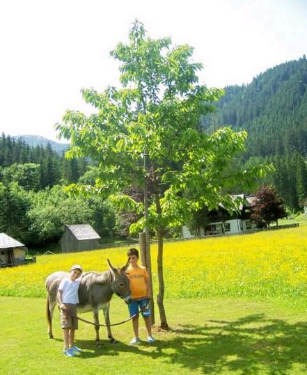 Gasthof Gosauschmied Hotell Exteriör bild